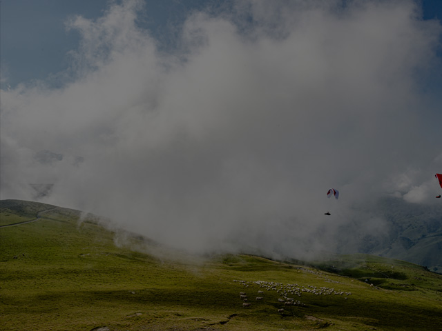 Paragliders